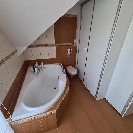Dum Mnichov Bazen Klimatizace Villa Vrbno pod Pradedem Exterior photo