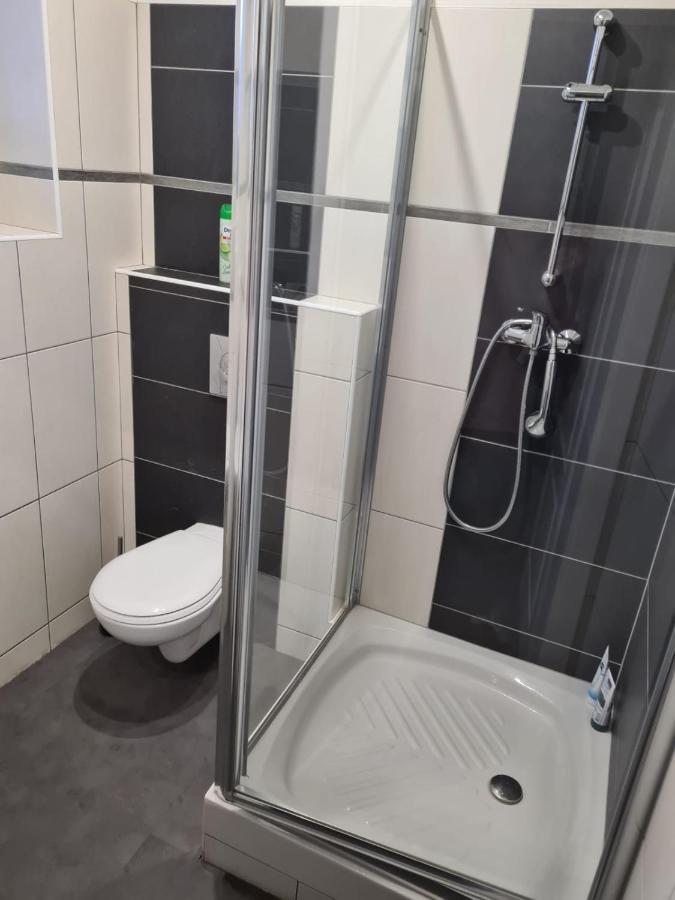 Dum Mnichov Bazen Klimatizace Vrbno pod Pradedem
